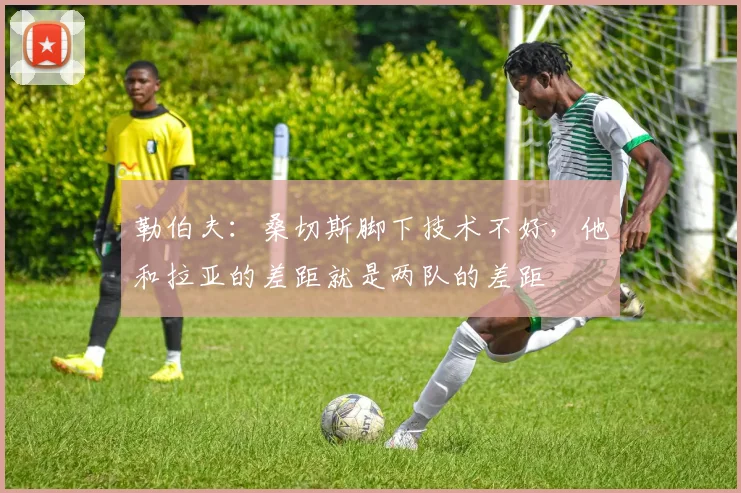 勒伯夫：桑切斯脚下技术不好，他和拉亚的差距就是两队的差距
